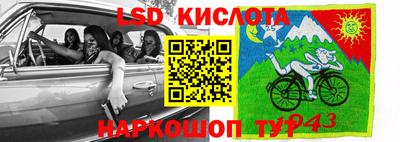 спайс Можга