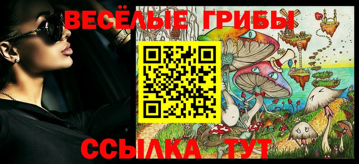 Галлюциногенные грибы Magic Shrooms  Вход с VPN  Богородицк  Псилоцибиновые грибы Psilocybine cubensis 